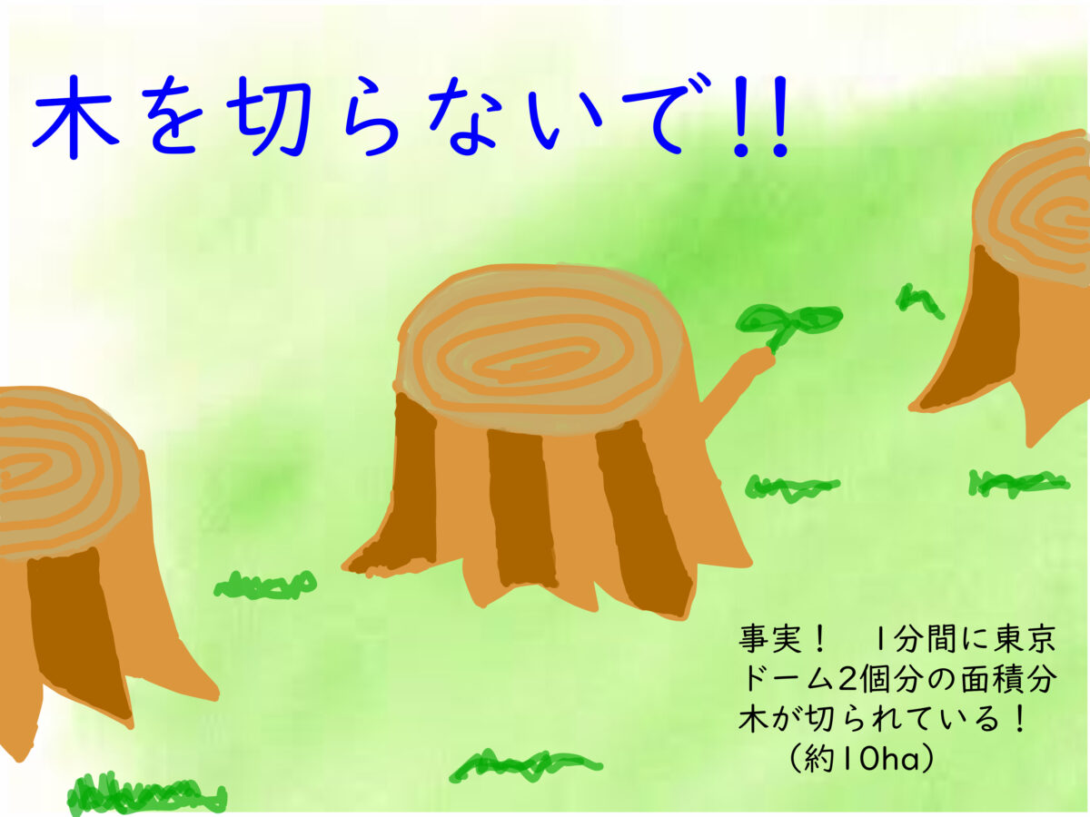 山中　大樹 さんの作品